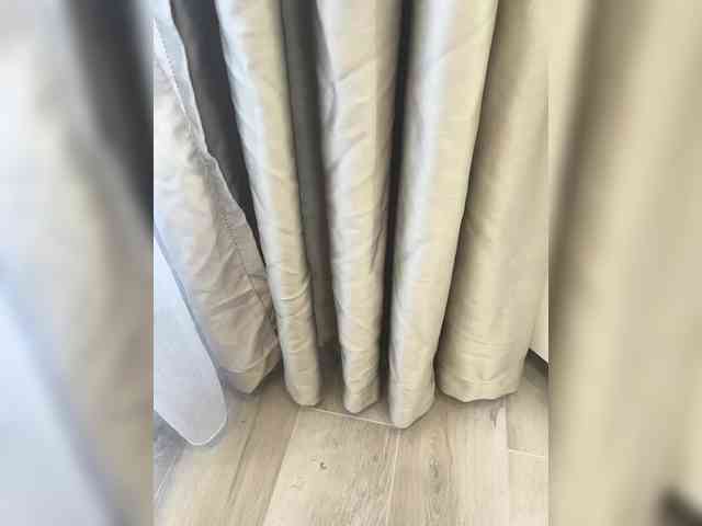 Puppy19 with friend show - 04 January 2024