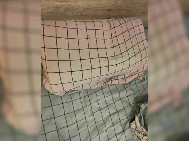 Fox-Lisa toy fun - 2023.04.29