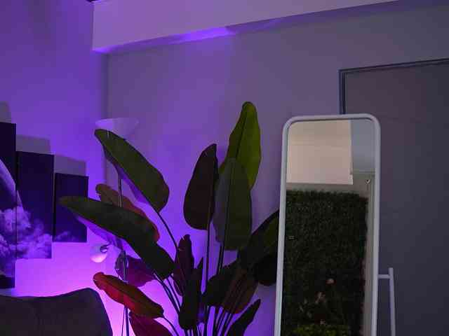 RaquelleVon squirt - 2024/02/09