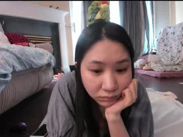 Alizezaide pussy - 2023/05/08