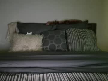 Bigdicktrannynicole crazyticket camshow