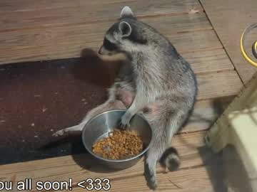 Rndmzd big dick - 06/11/2023