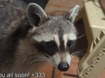 Rndmzd cumshot camshow